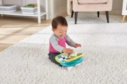 VTECH BABY Babys Plüschpiano -Vtech 23098065 03