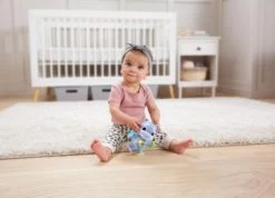 VTECH BABY Steh- Und Dreh-Nilpferd -Vtech 23099146 04